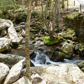 Review photo of Cosby Campground — Great Smoky Mountains National Park by Bran P., July 21, 2016
