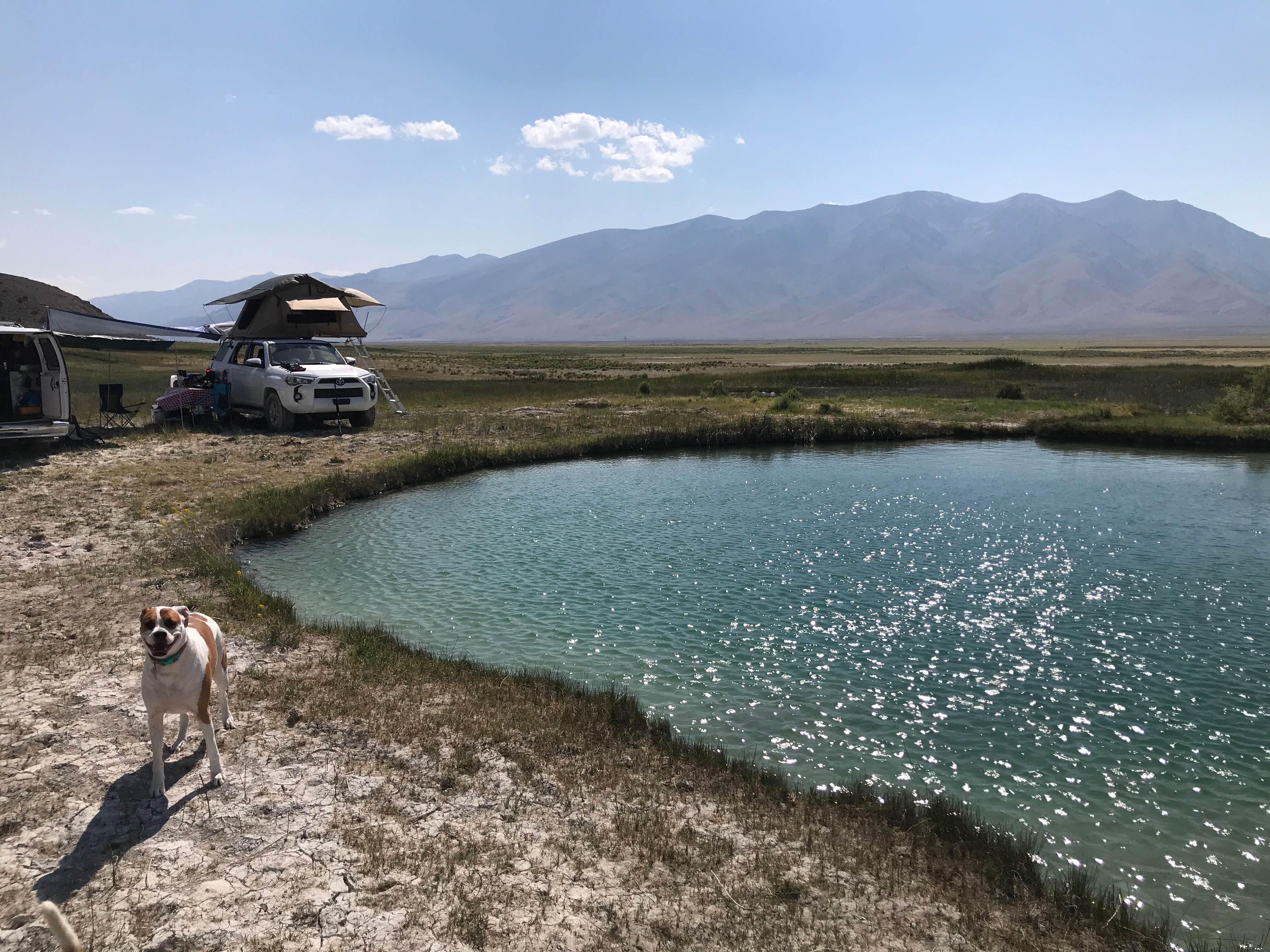 Jason & Sara S.'s photo of camping with pets at South Ruby Campground near Ruby Valley, NV