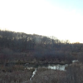 View of sunset from the wildlife viewing deck/sunset overlook