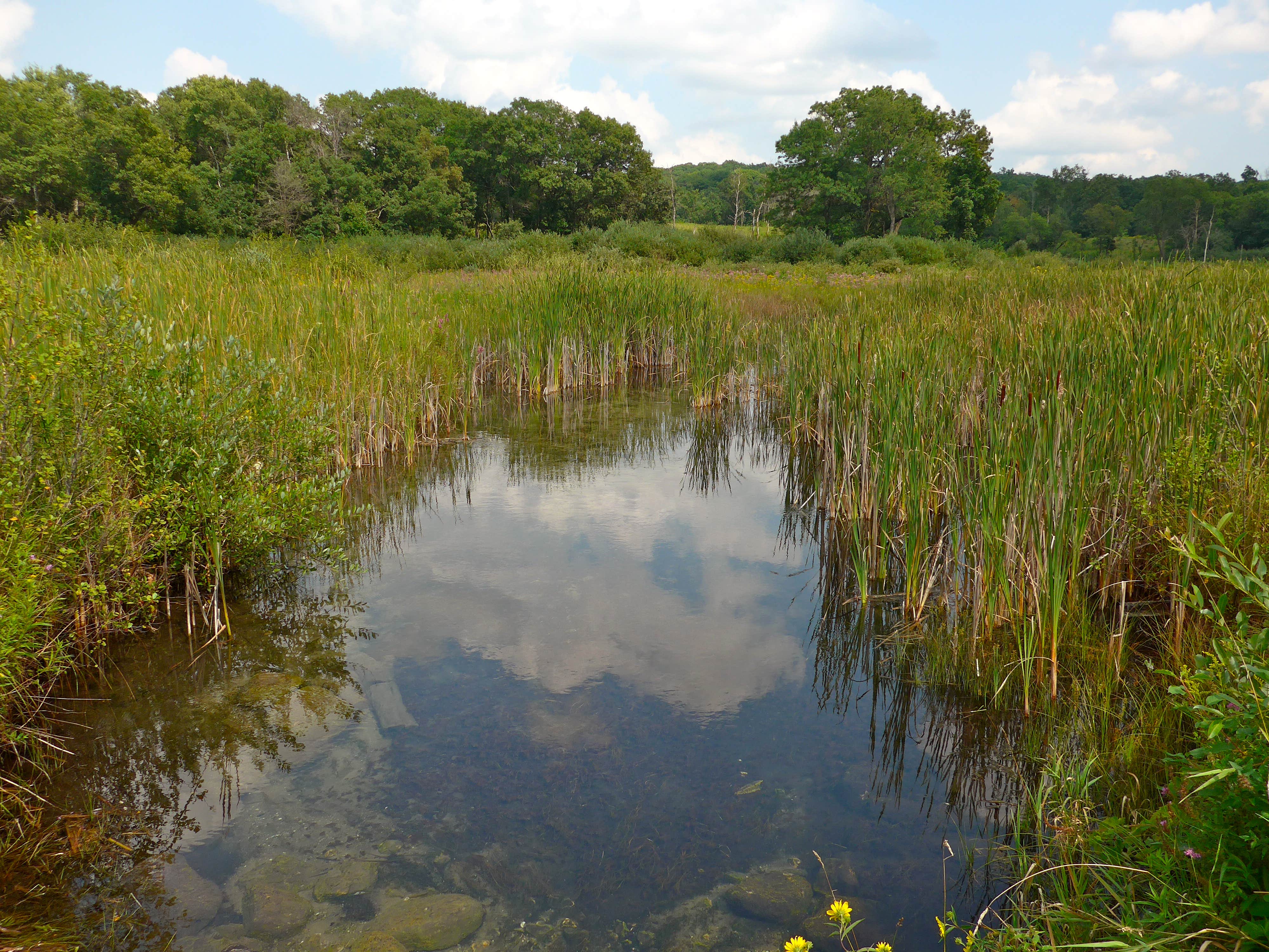 Camper-submitted photo at Pinewoods Campground — Kettle Moraine State Forest-Southern Unit near Waupun, WI