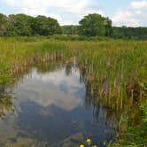 Review photo of Pinewoods Campground — Kettle Moraine State Forest-Southern Unit by Jen L., August 23, 2018