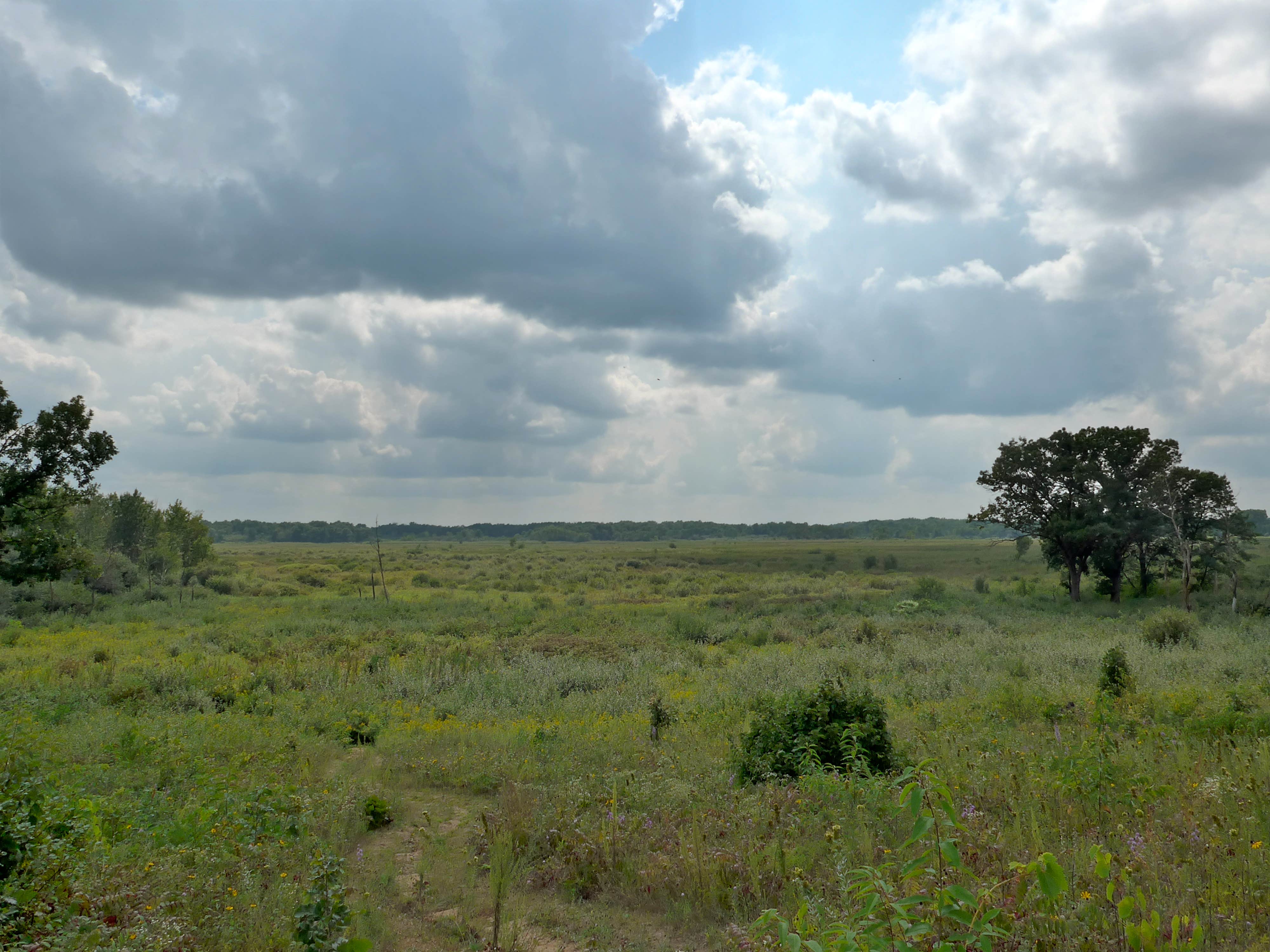 Camper-submitted photo at Pinewoods Campground — Kettle Moraine State Forest-Southern Unit near Waupun, WI