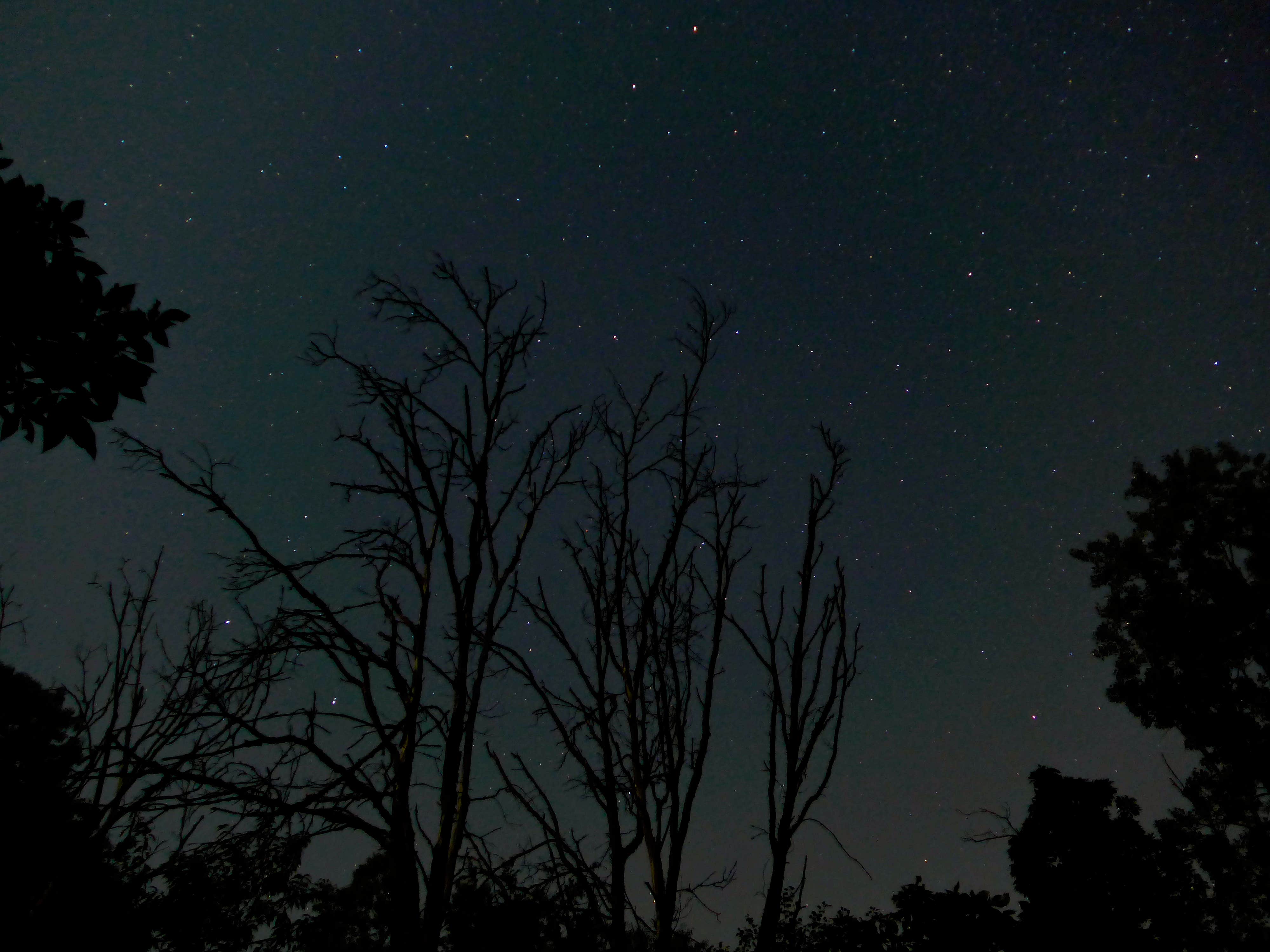 Camper-submitted photo at Pinewoods Campground — Kettle Moraine State Forest-Southern Unit near Waupun, WI