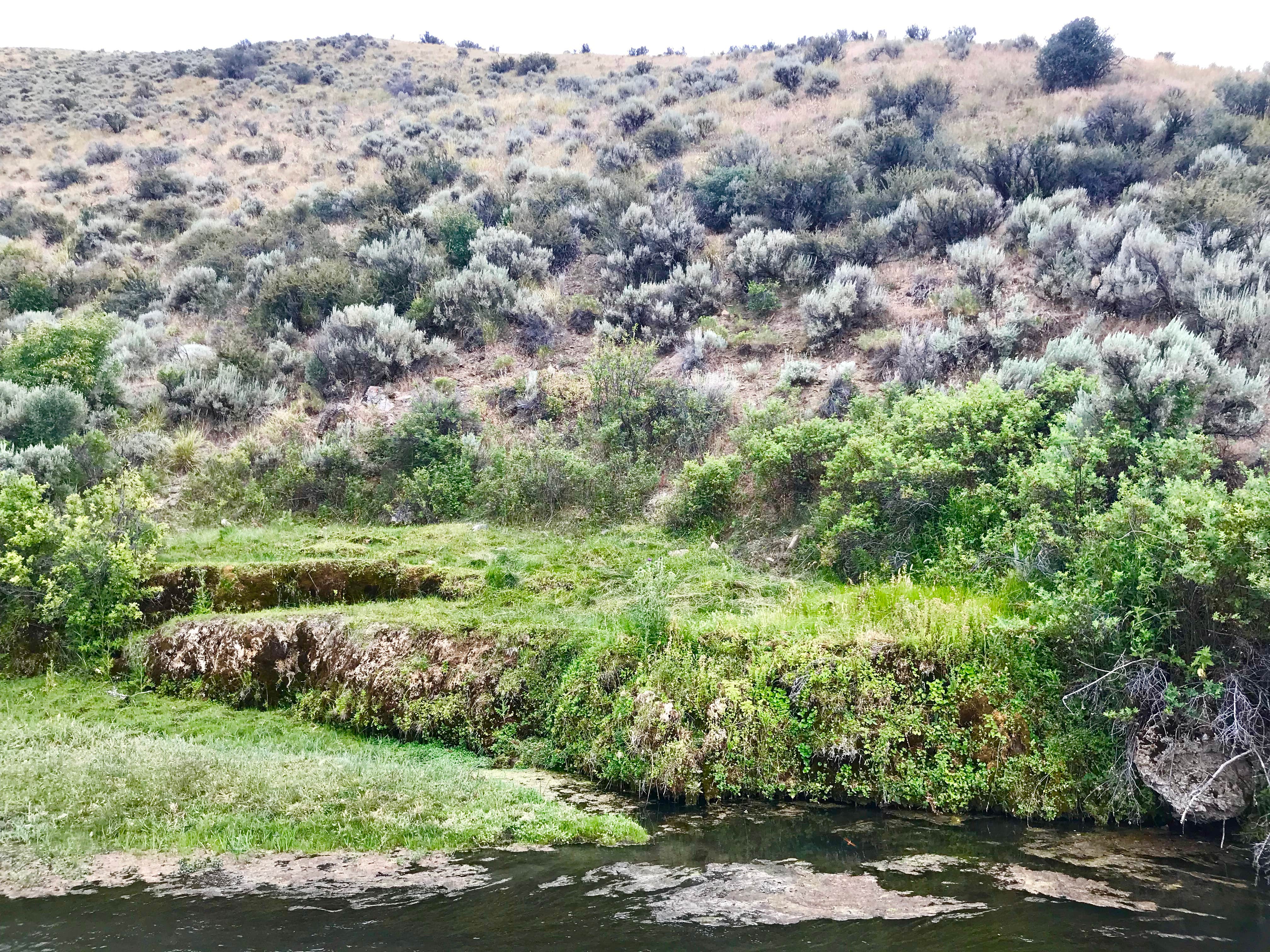 Camper-submitted photo at 12 Mile Hot Springs Dispersed Camping near Lamoille, NV