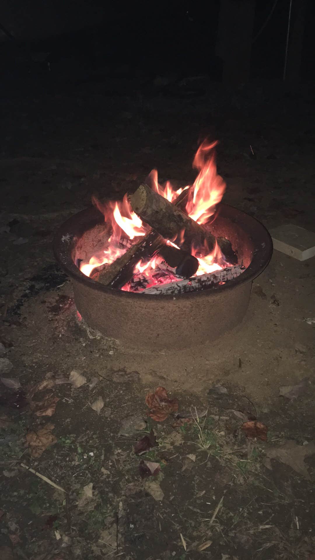Camper submitted image from Cozy Acres Campground RV Resort - 2