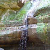 Review photo of Wyalusing State Park Campground by Jen L., August 23, 2018
