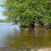 Review photo of Wyalusing State Park Campground by Jen L., August 23, 2018
