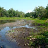 Review photo of Dunewood Campground — Indiana Dunes National Park by Jen L., August 23, 2018
