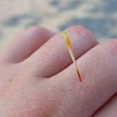 Review photo of Dunewood Campground — Indiana Dunes National Park by Jen L., August 23, 2018