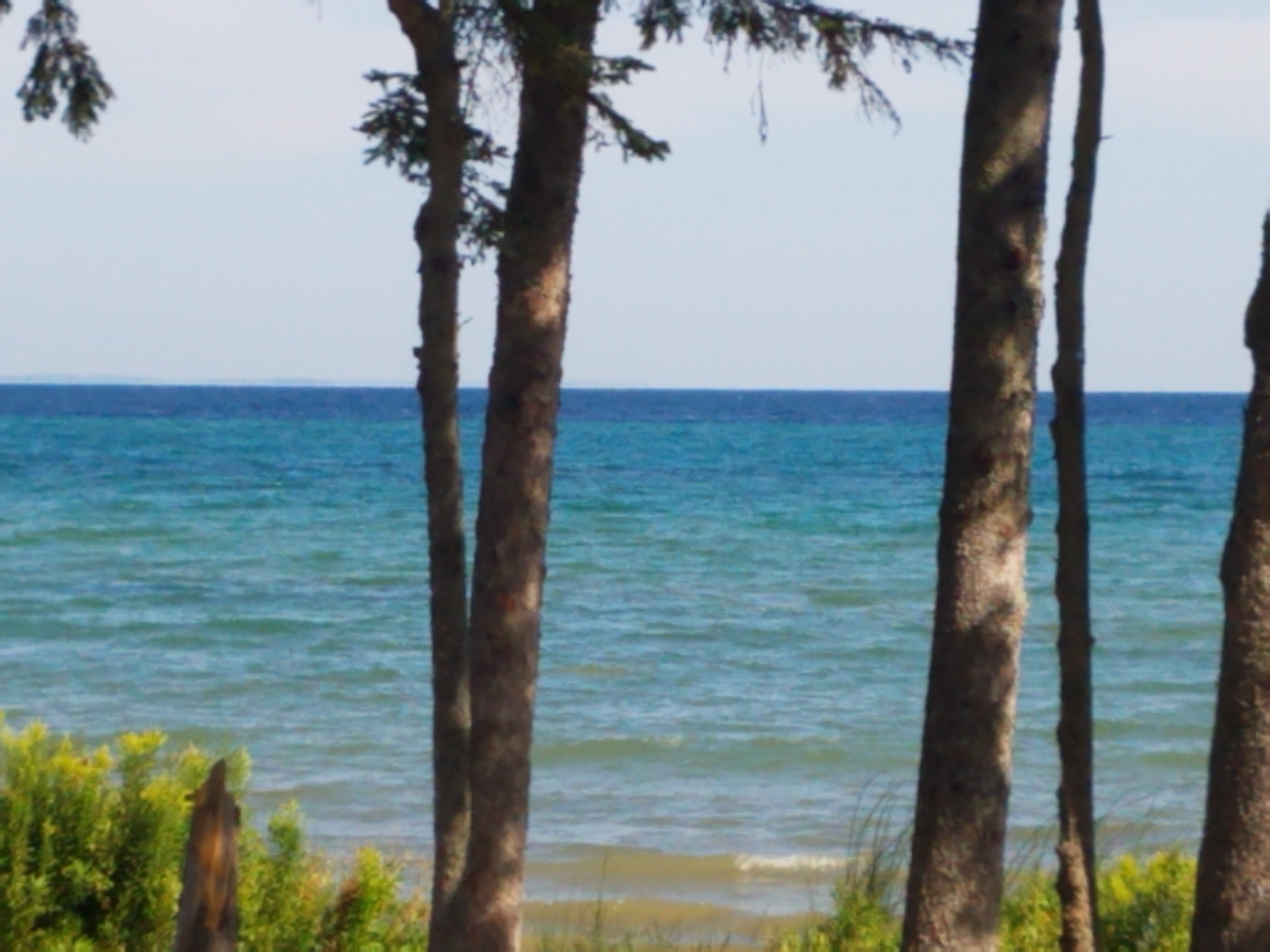Camper submitted image from Mackinaw Mill Creek Camping - 3