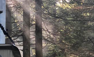 Dayna C.'s photo at Stokes State Forest near Stanhope, NJ
