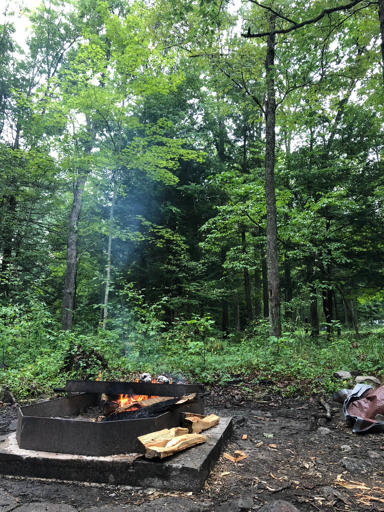 Camper-submitted photo at Stokes State Forest near Hewitt, NJ
