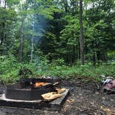 Review photo of Stokes State Forest by Dayna C., August 23, 2018