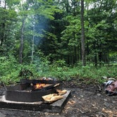 Review photo of Stokes State Forest by Dayna C., August 23, 2018