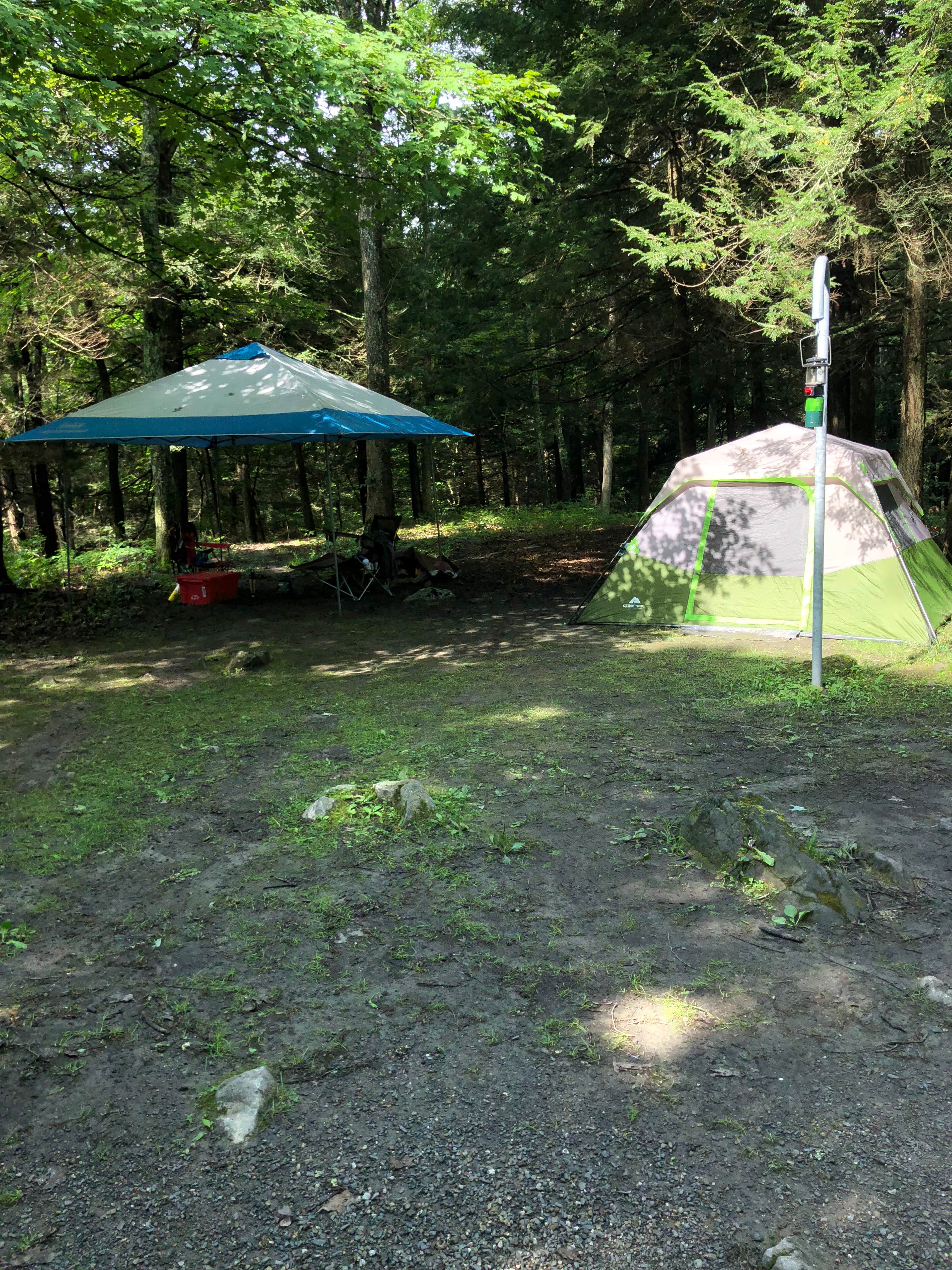 Dayna C.'s photo at Stokes State Forest near Andover, NJ