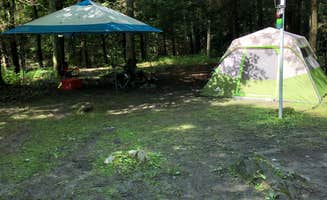 Dayna C.'s photo at Stokes State Forest near Newton, NJ
