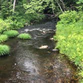 Review photo of Stokes State Forest by Dayna C., August 23, 2018