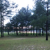 Review photo of Reed Bingham State Park Campground by Bonnie W., August 24, 2018