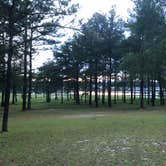 Review photo of Reed Bingham State Park Campground by Bonnie W., August 24, 2018