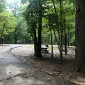 Review photo of Fall Creek Falls State Park Campground by Shelly S., August 24, 2018