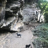 Review photo of Fall Creek Falls State Park Campground by Shelly S., August 24, 2018