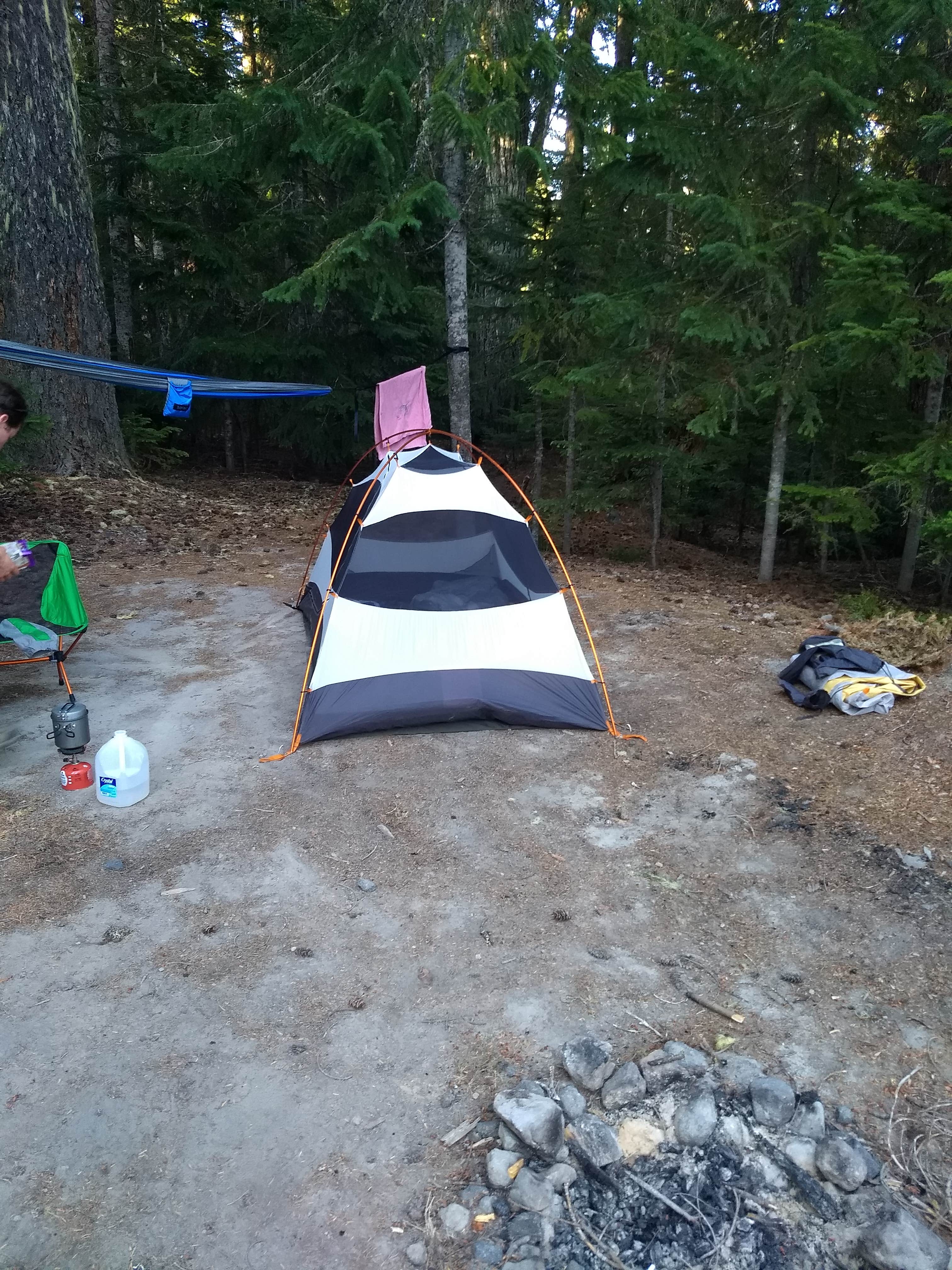 Camper submitted image from Mount St. Helens Dispersed Camping - 5