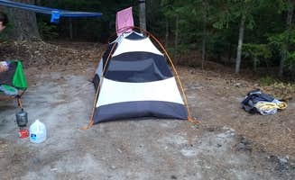 Danielle S.'s photo of a dispersed camping area at Mount St. Helens Dispersed Camping near St. Helens, OR