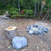 Review photo of Mount St. Helens Dispersed Camping by Danielle S., August 24, 2018