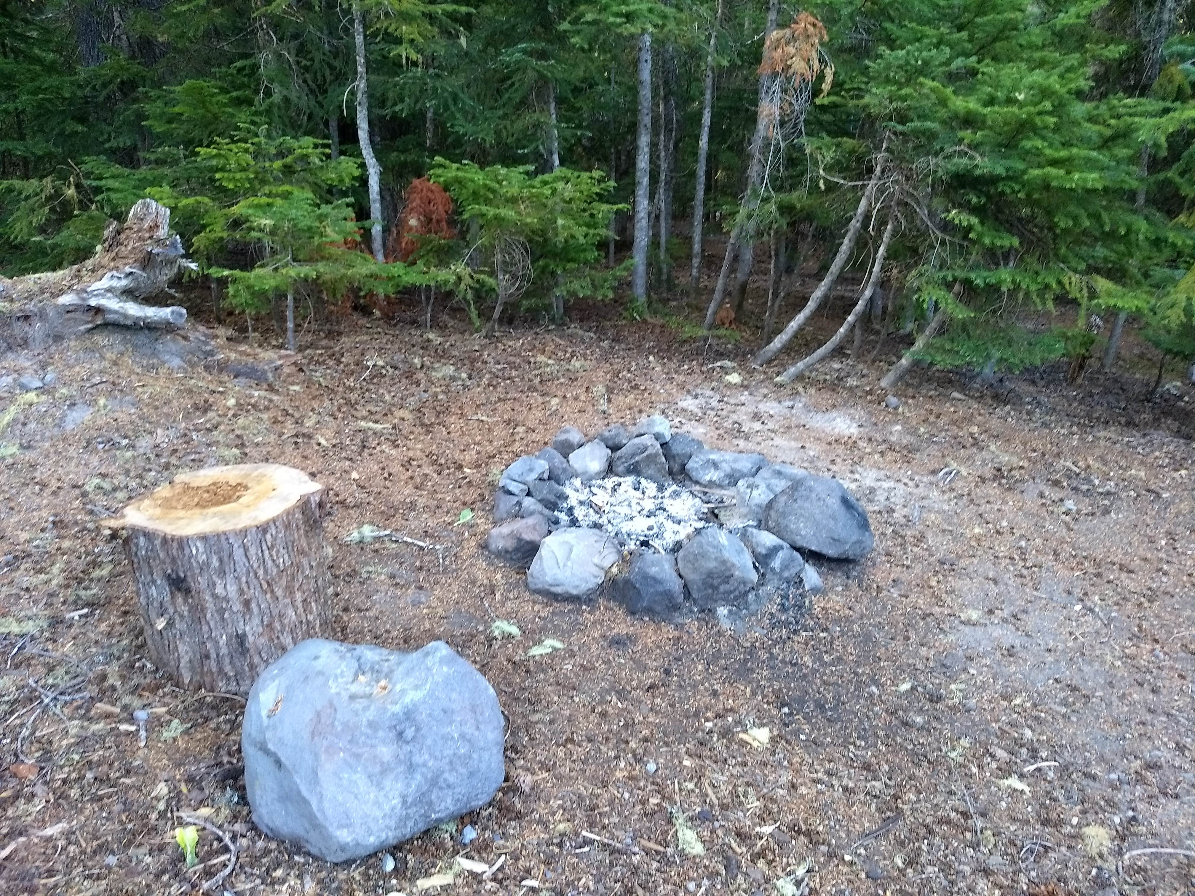 Camper submitted image from Mount St. Helens Dispersed Camping - 2