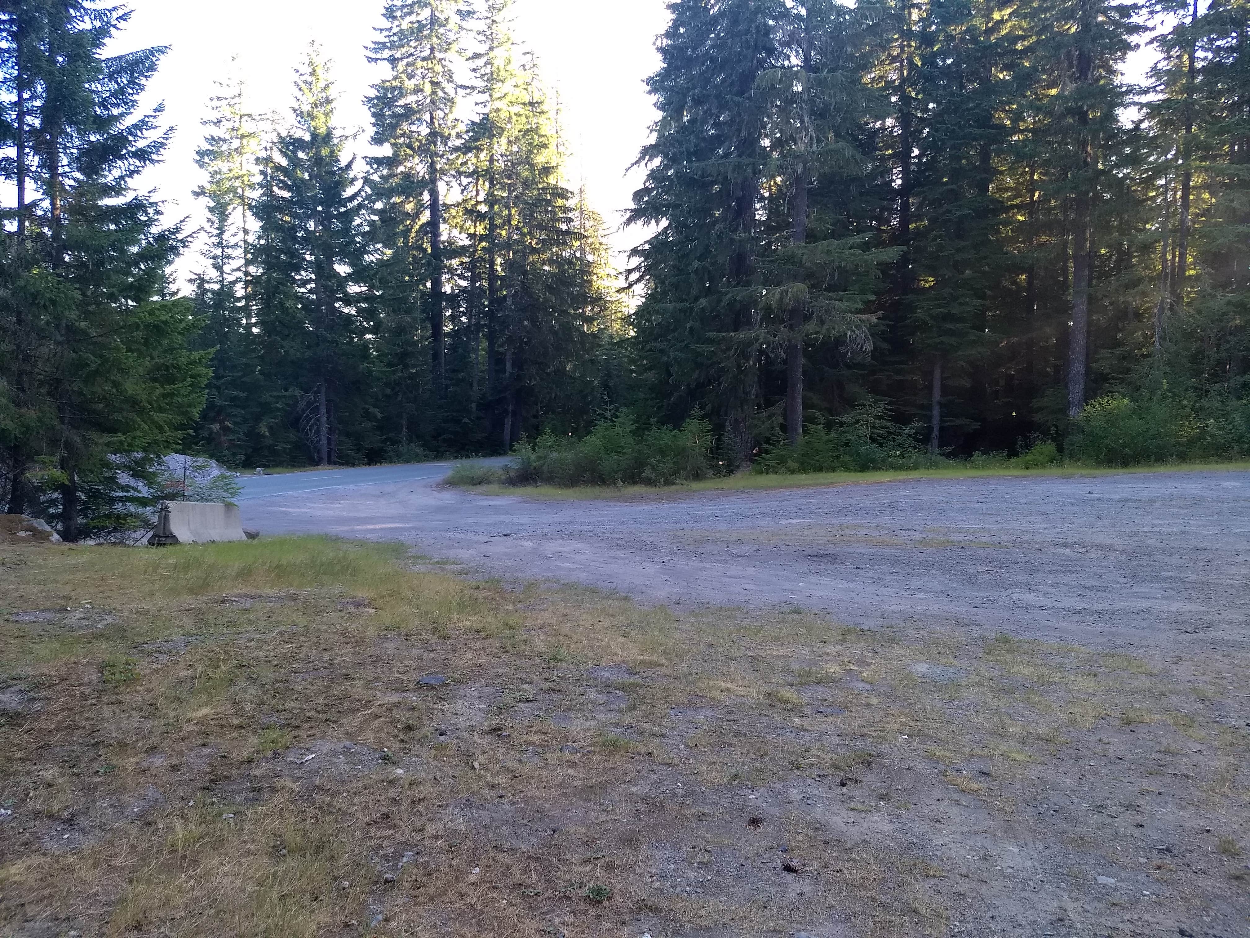 Camper-submitted photo at Mount St. Helens Dispersed Camping near Woodland, WA