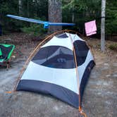 Review photo of Mount St. Helens Dispersed Camping by Danielle S., August 24, 2018