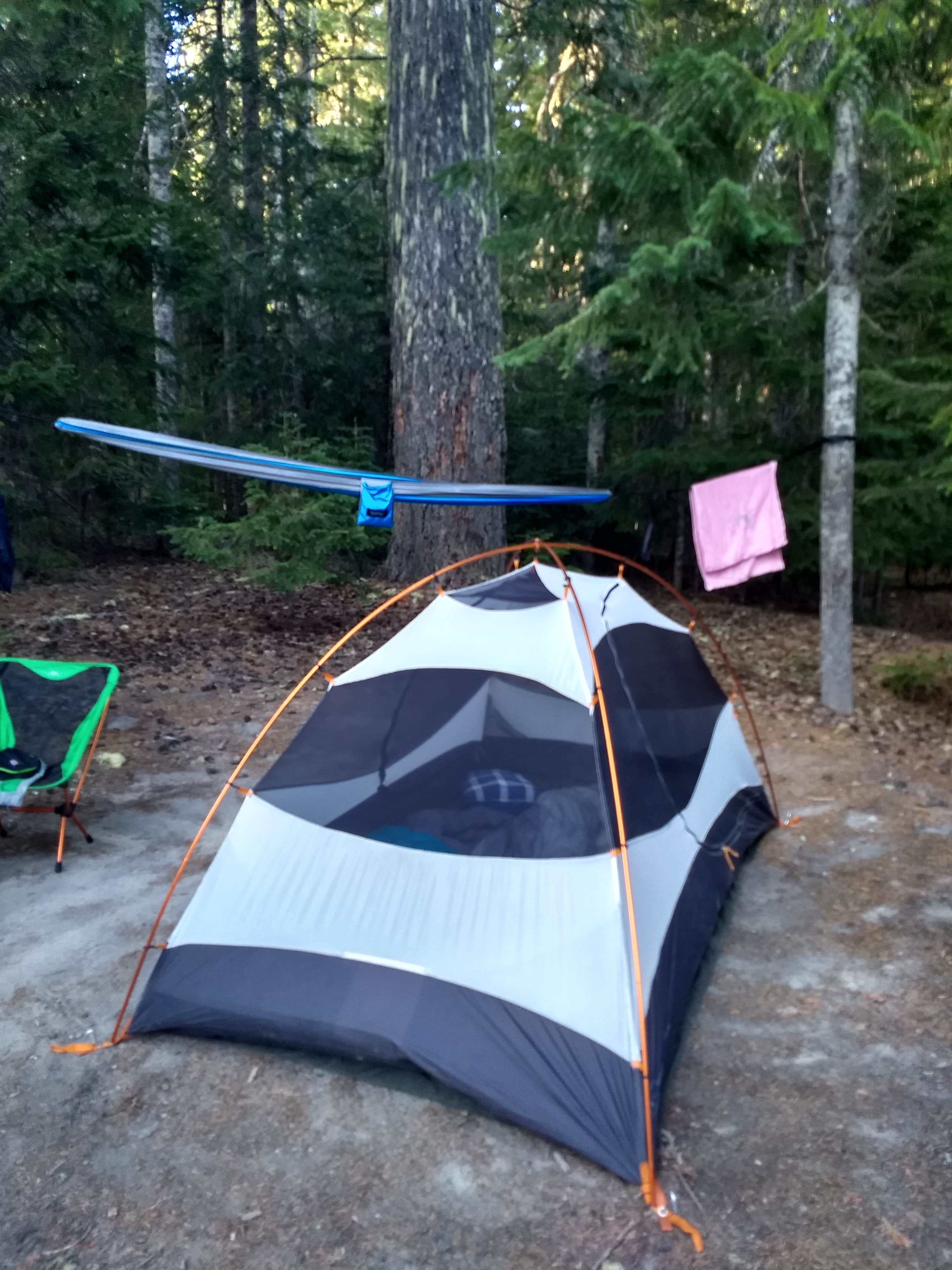 Camper submitted image from Mount St. Helens Dispersed Camping - 4