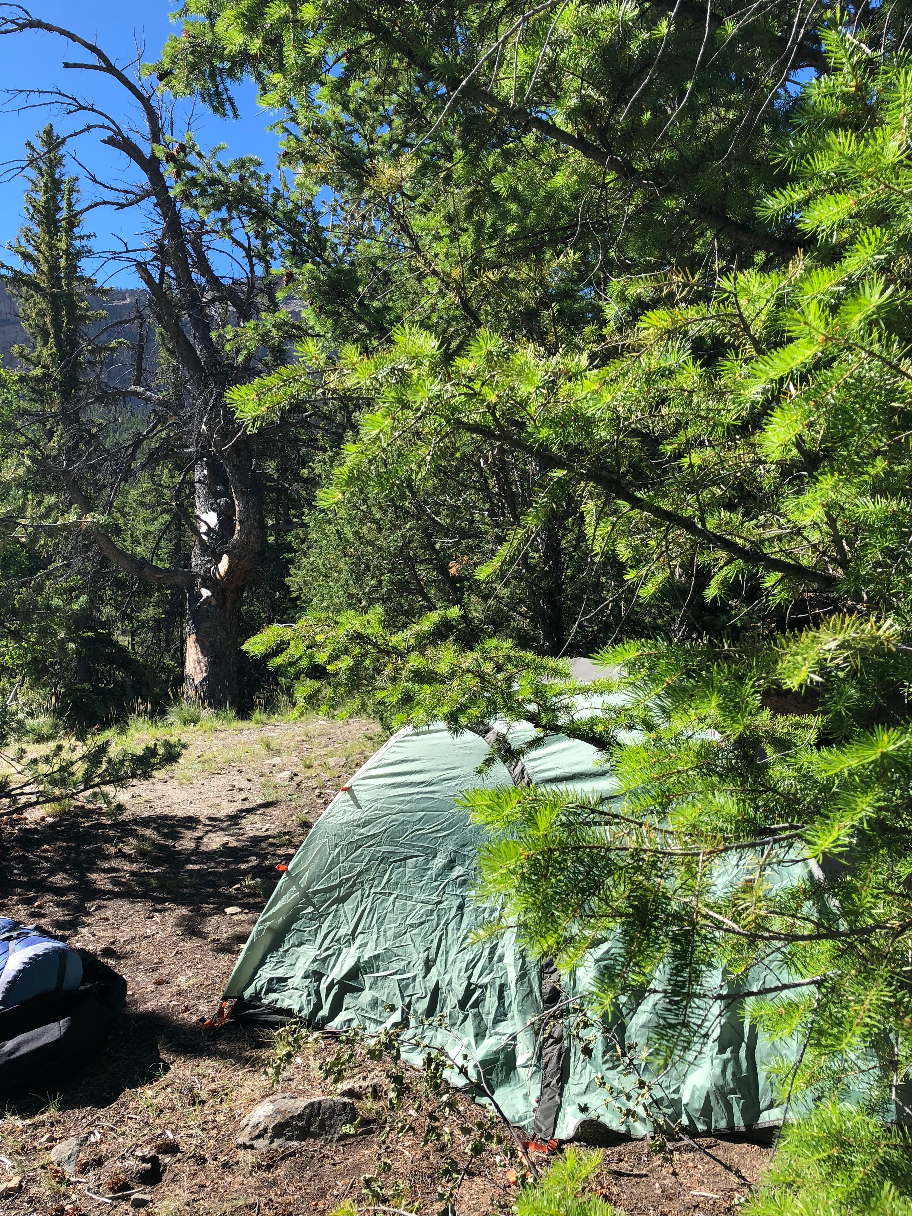Camper submitted image from Glacier Trailhead Campsites in Fitzpatrick Wilderness Area - 3