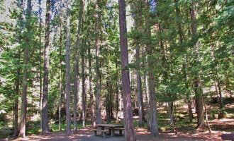 Camping near Bald Mountain Lookout: Giant White Pine Campground, Harvard, Idaho