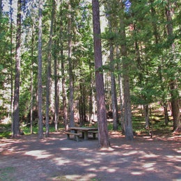 Giant White Pine Campground