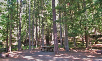 Giant White Pine Campground