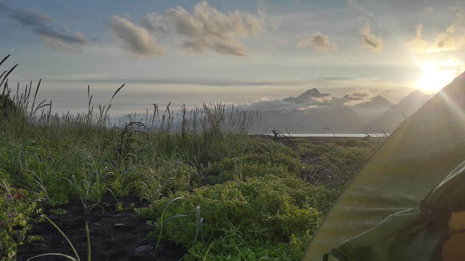 Camper submitted image from Tonsina Point at Caines Head - 2