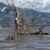 Review photo of Washoe Lake State Park Campground by Wendy G., August 24, 2018