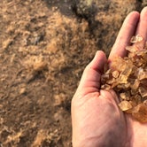 Review photo of Oregon Sunstone Public Collection Area by Corinna B., August 22, 2018