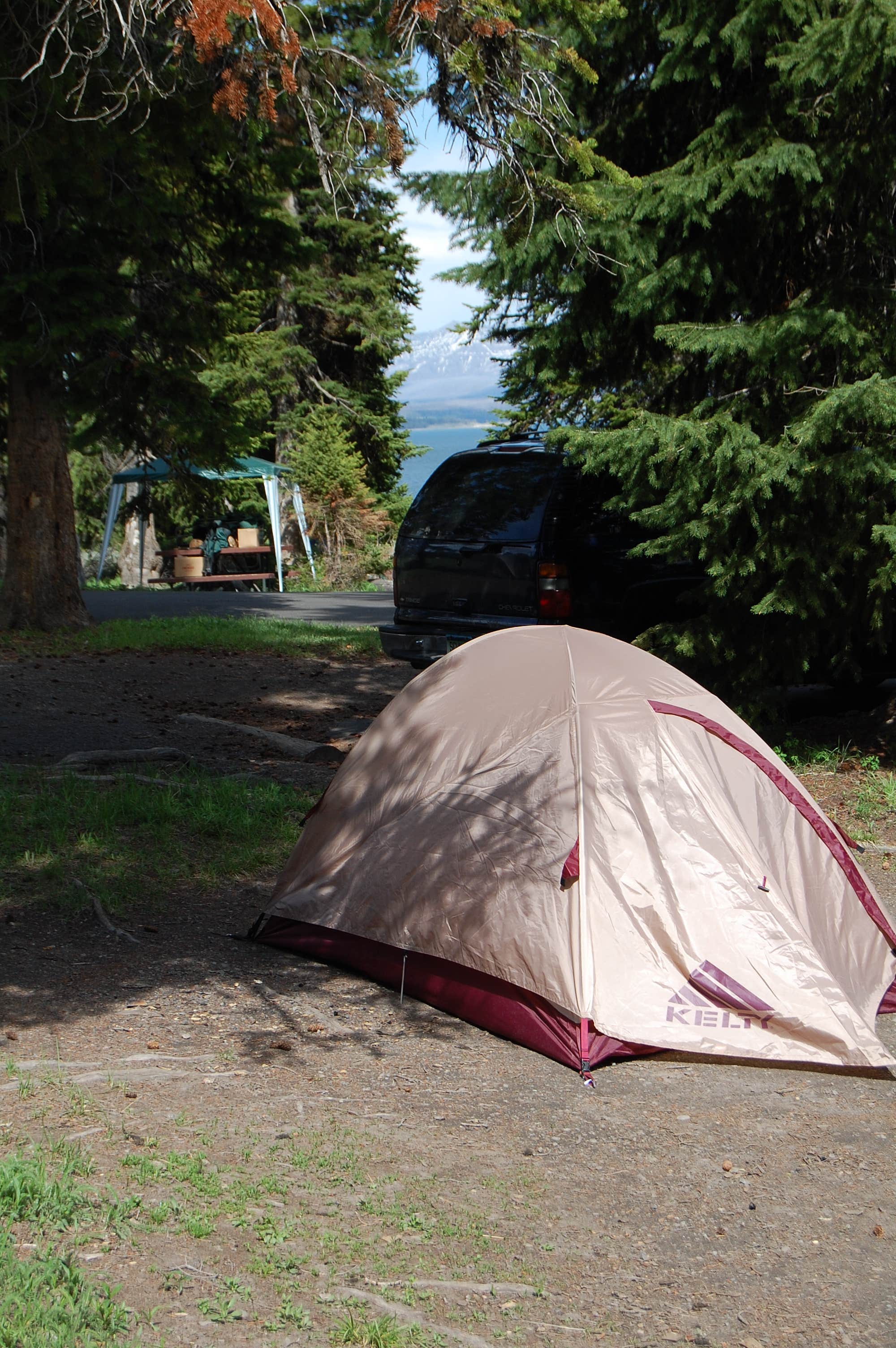 Camper submitted image from Fern Lake — Yellowstone National Park - 4