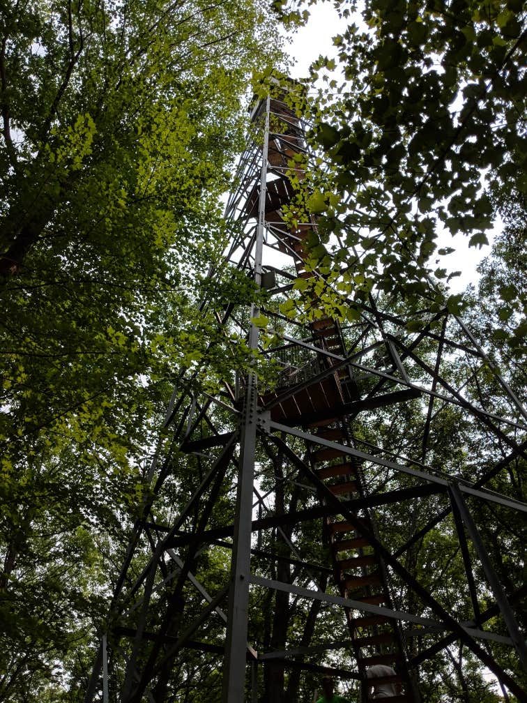 Camper-submitted photo at Old Logging Trail — St. Croix State Park near Saint Croix National Scenic River