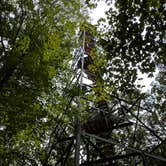 Review photo of Old Logging Trail — St. Croix State Park by Scott G., August 24, 2018