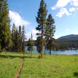 Fern Lake — Yellowstone National Park