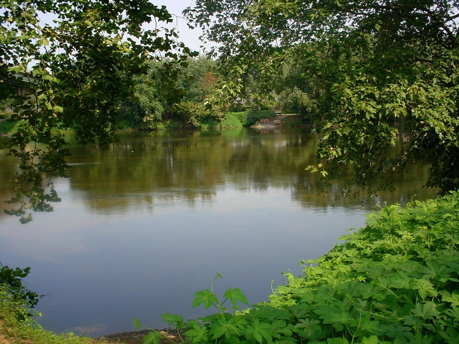 Camper-submitted photo at Horseshoe Flats Campground near Scottsville, VA