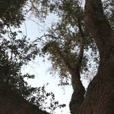 Review photo of Cachuma Lake Recreation Area by Alison D., August 24, 2018