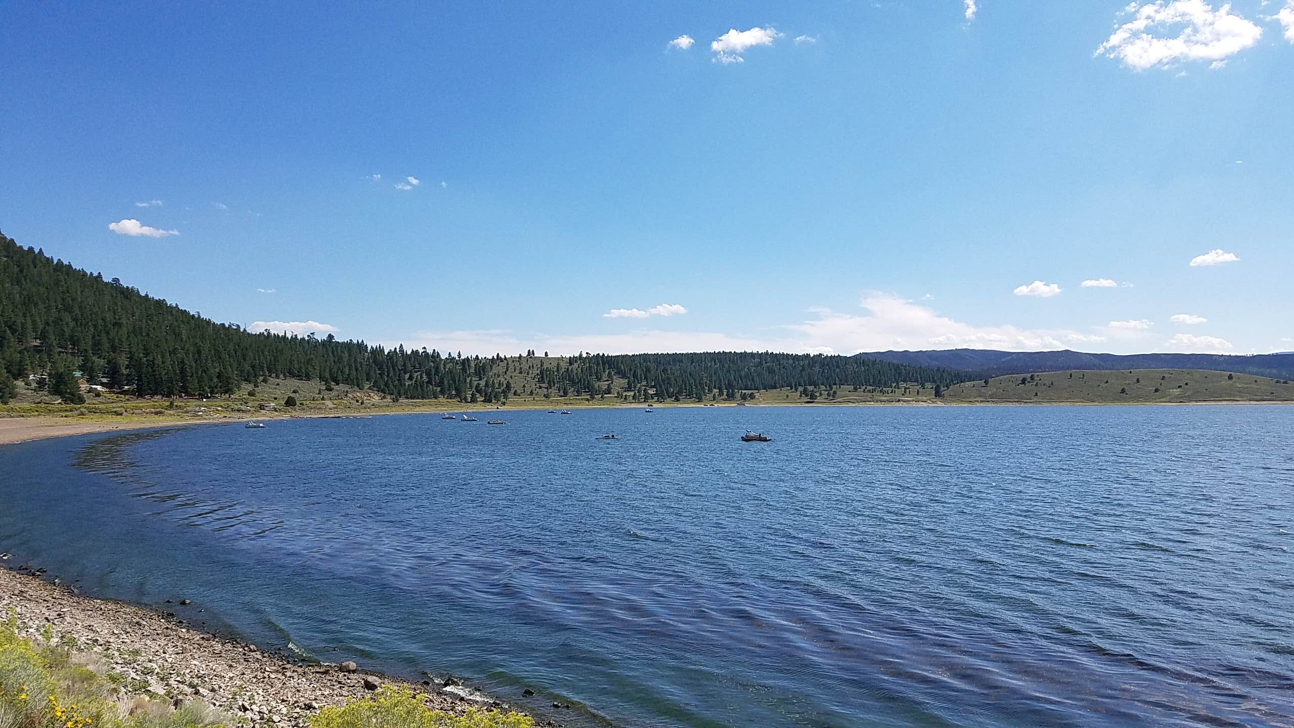 Camper submitted image from Panguitch Lake Adventure Resort - 3