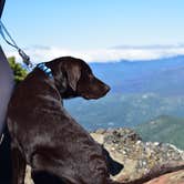 Review photo of Mowich Lake Campground — Mount Rainier National Park by Sasha W., August 24, 2018