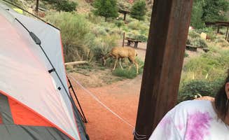 Caitlin C.'s photo at Watchman Campground — Zion National Park near Hildale, UT