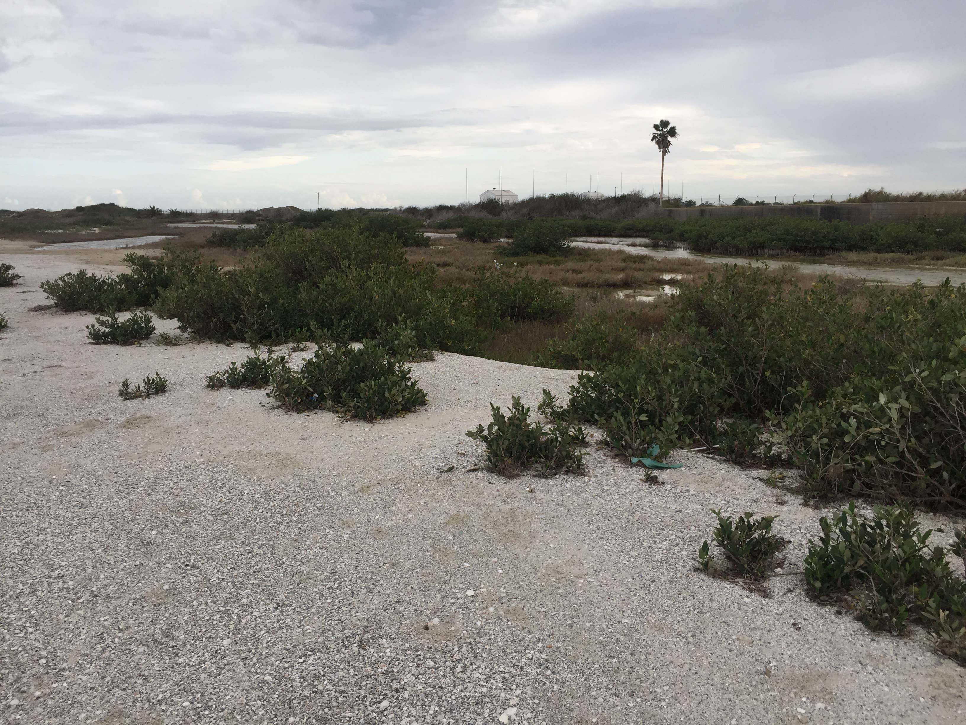 Camper-submitted photo at Shields Park NAS Recreation Site near Sarita, TX