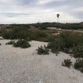 Review photo of Shields Park NAS Recreation Site by L.C. H., August 24, 2018